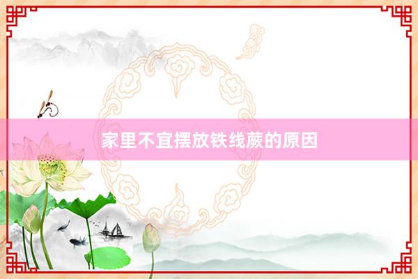 家里不宜摆放铁线蕨的原因