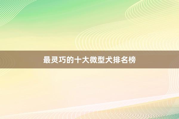 最灵巧的十大微型犬排名榜